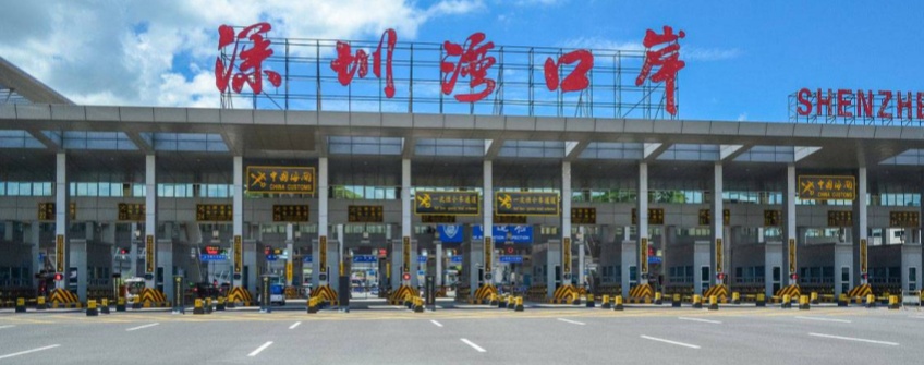惊蛰春耕忙 种子通关畅：J9集团官网进出口护航春耕物资“附前提提离”